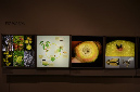 Wasp_exhibition__DSC3448